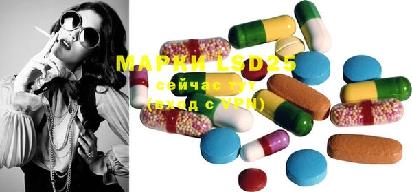 индика Магас