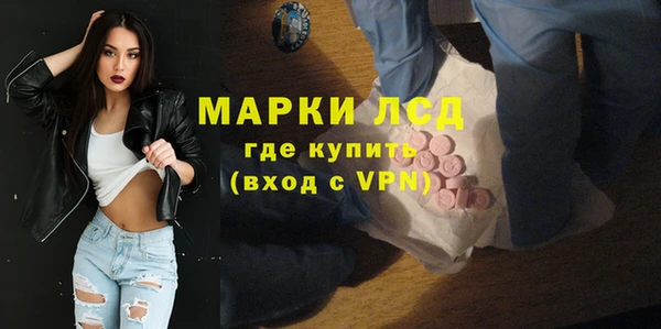 индика Магас